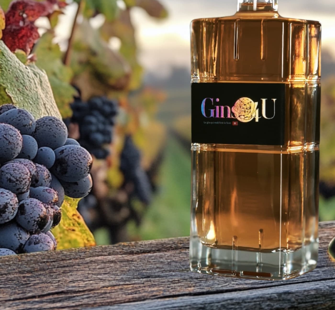 Grand Cru — Pinot Noir 2025 — bouteille Gins 4U